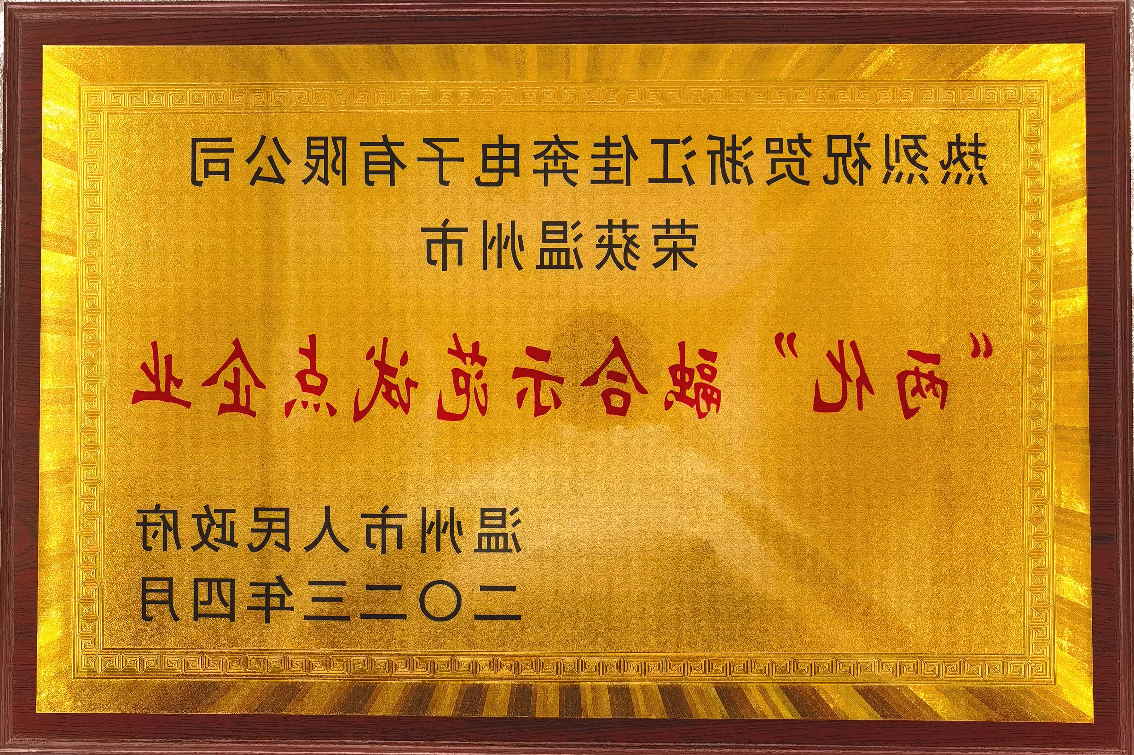 2023年度温州市“两化”融合示范试点企业